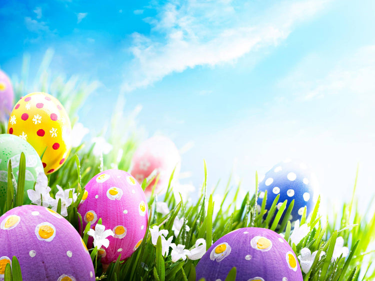 Easter FUN!